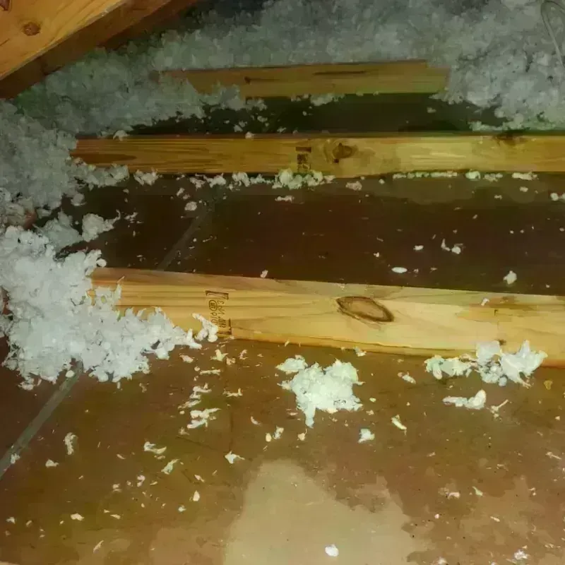 Attic Water Damage in Scotland County, MO