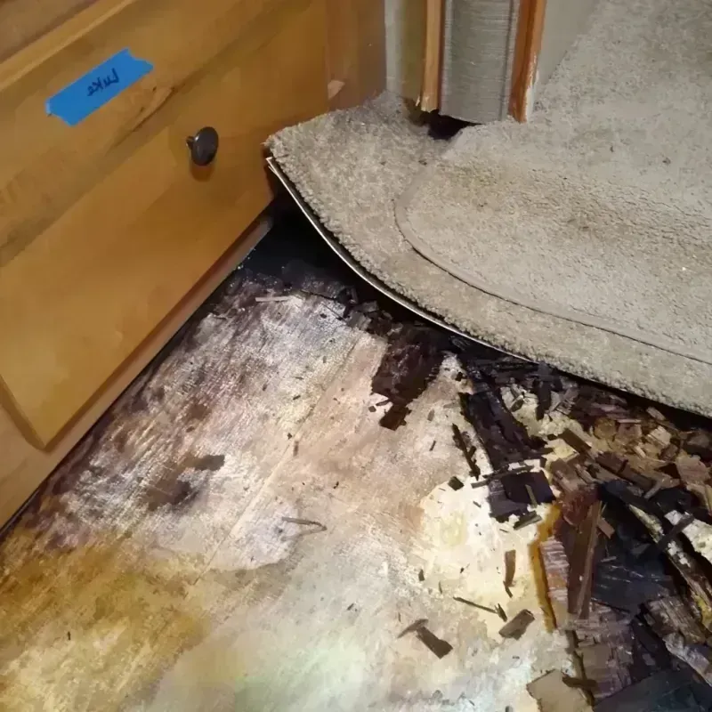 Best Wood Floor Water Damage Service in Scotland County, MO